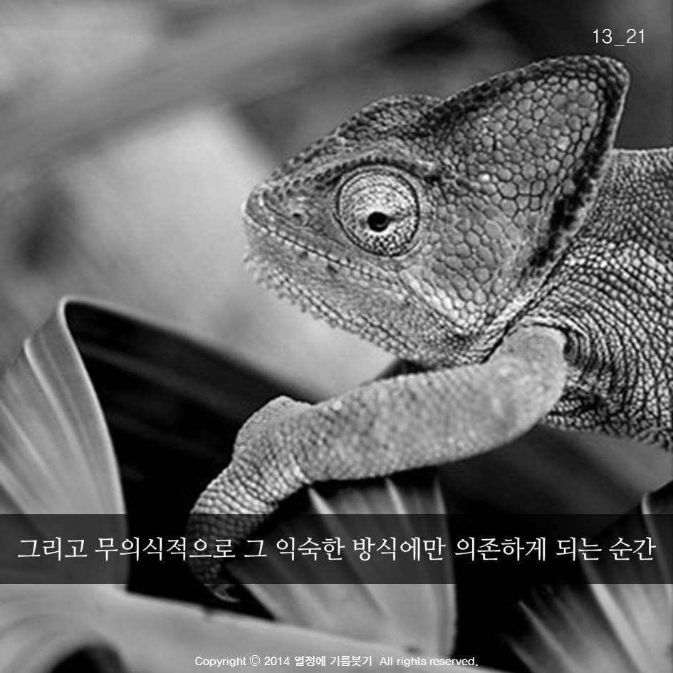 늑대의 죽음 | 인스티즈