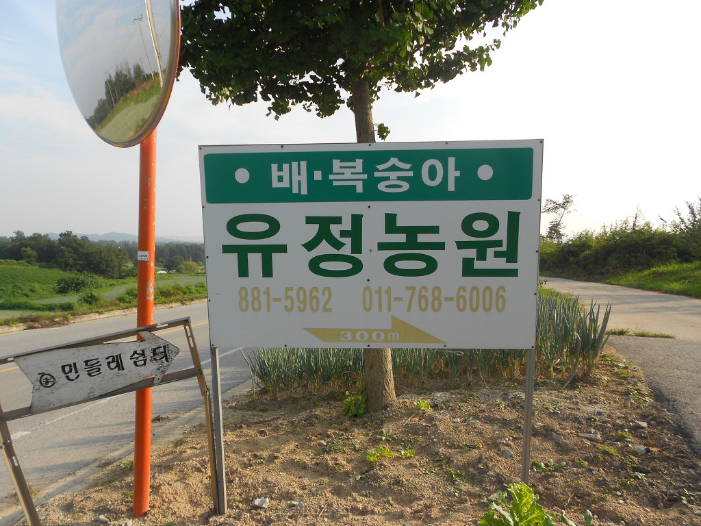 유정농원 이미지