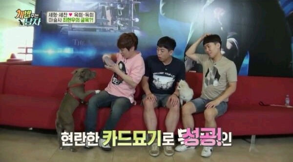 최현우 마술로 동물현혹 | 인스티즈