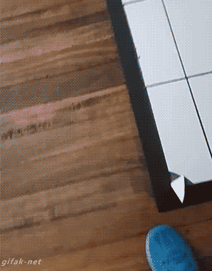 내가 개를 좋아하는 이유.gif | 인스티즈