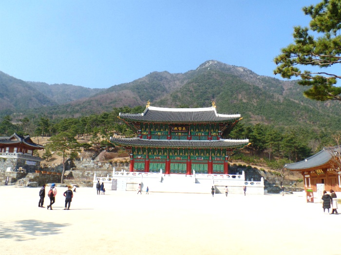 한방자연휴양림 이미지