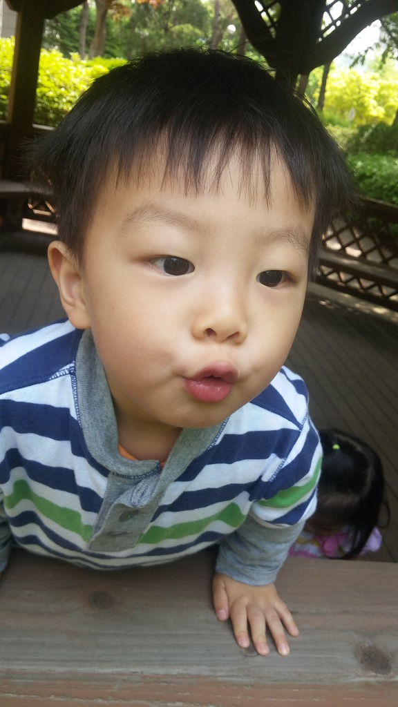 또올 이미지