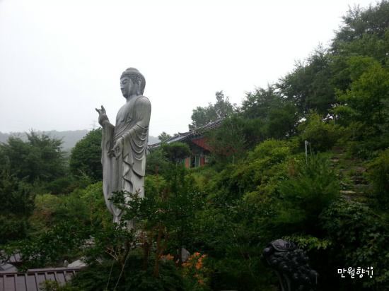 동조상사 이미지