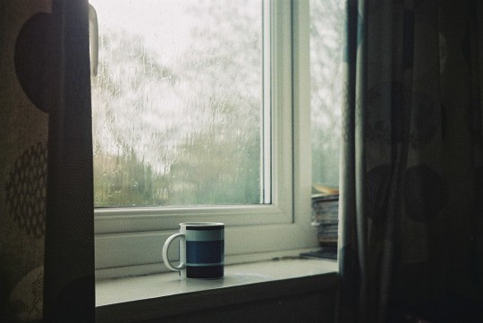  말은 상처를 주라고 있는게 아니다 | 인스티즈