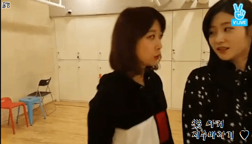 [다이아] 170106 V앱 꽁냥꽁냥 초밀착 GIF (빈챈현스) | 인스티즈