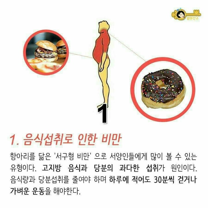 살이 찌는 부위 별 이유 | 인스티즈