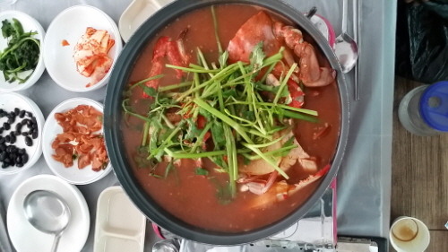 또와유 이미지
