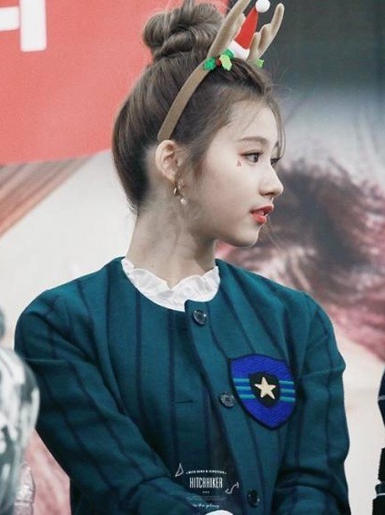 ㅎㄷㄷ한 사나 콧대 | 인스티즈
