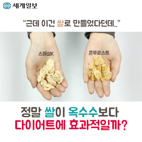가격만 스페셜한 시리얼 | 인스티즈