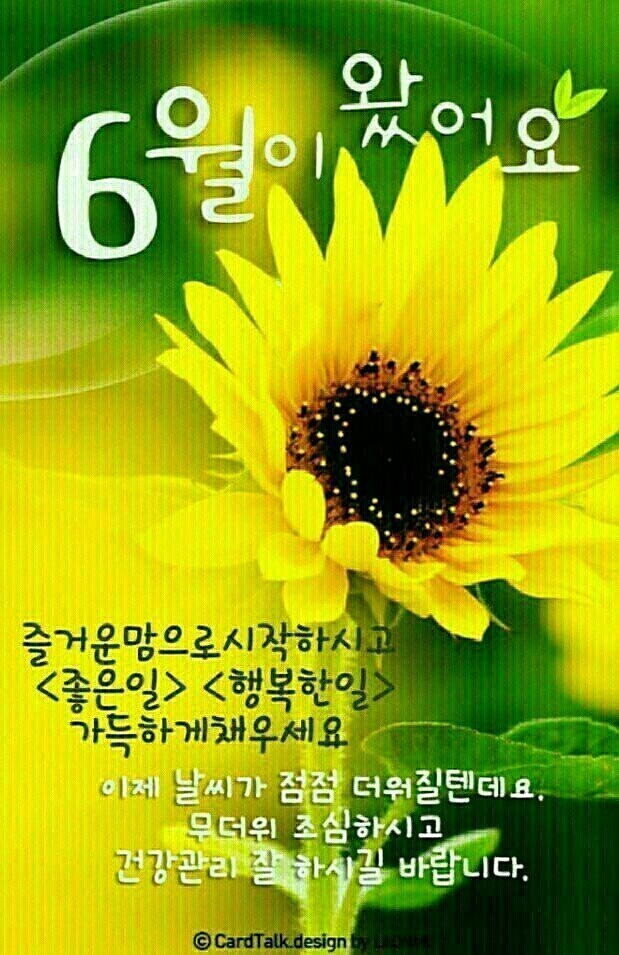 진토배기 이미지