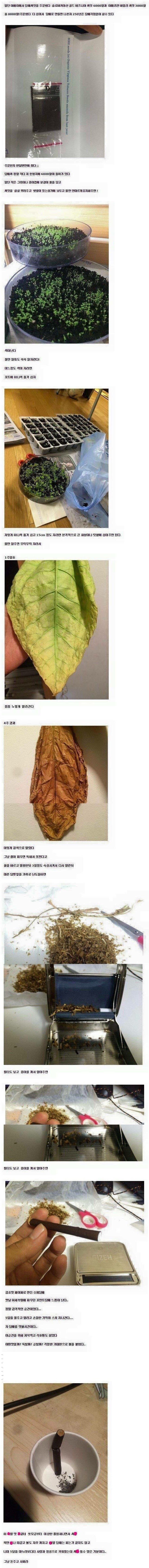 흡연가의 놀라운 정성.jpg | 인스티즈