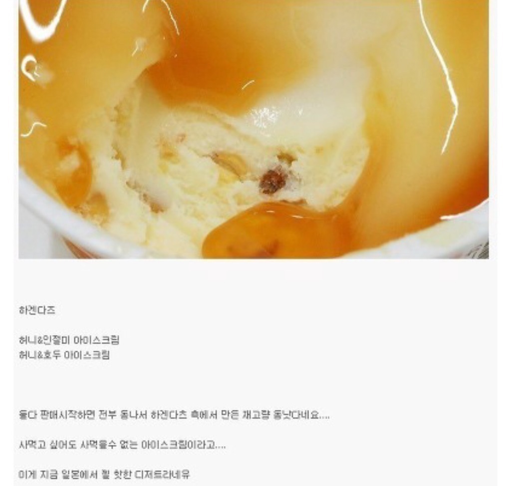 일본 하겐다즈 아이스크림의 미친 클라스 ㄷㄷ | 인스티즈