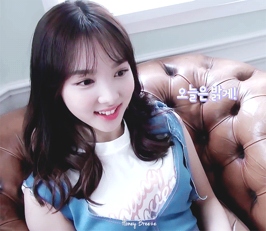 나연갤 제목 토끼 젤리로 유인하기 | 인스티즈