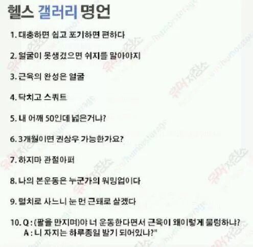 헬스갤러리 명언.jpg | 인스티즈