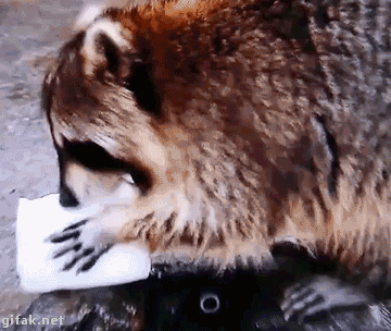 주갤러의 주식투자 방법 .gif | 인스티즈