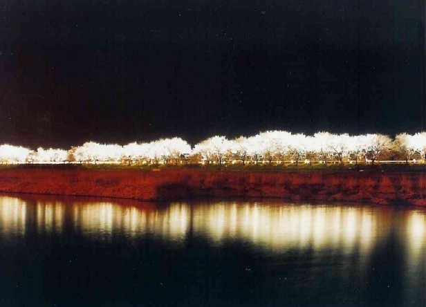 대한민국 최고의 드라이브코스들 총망라 | 인스티즈