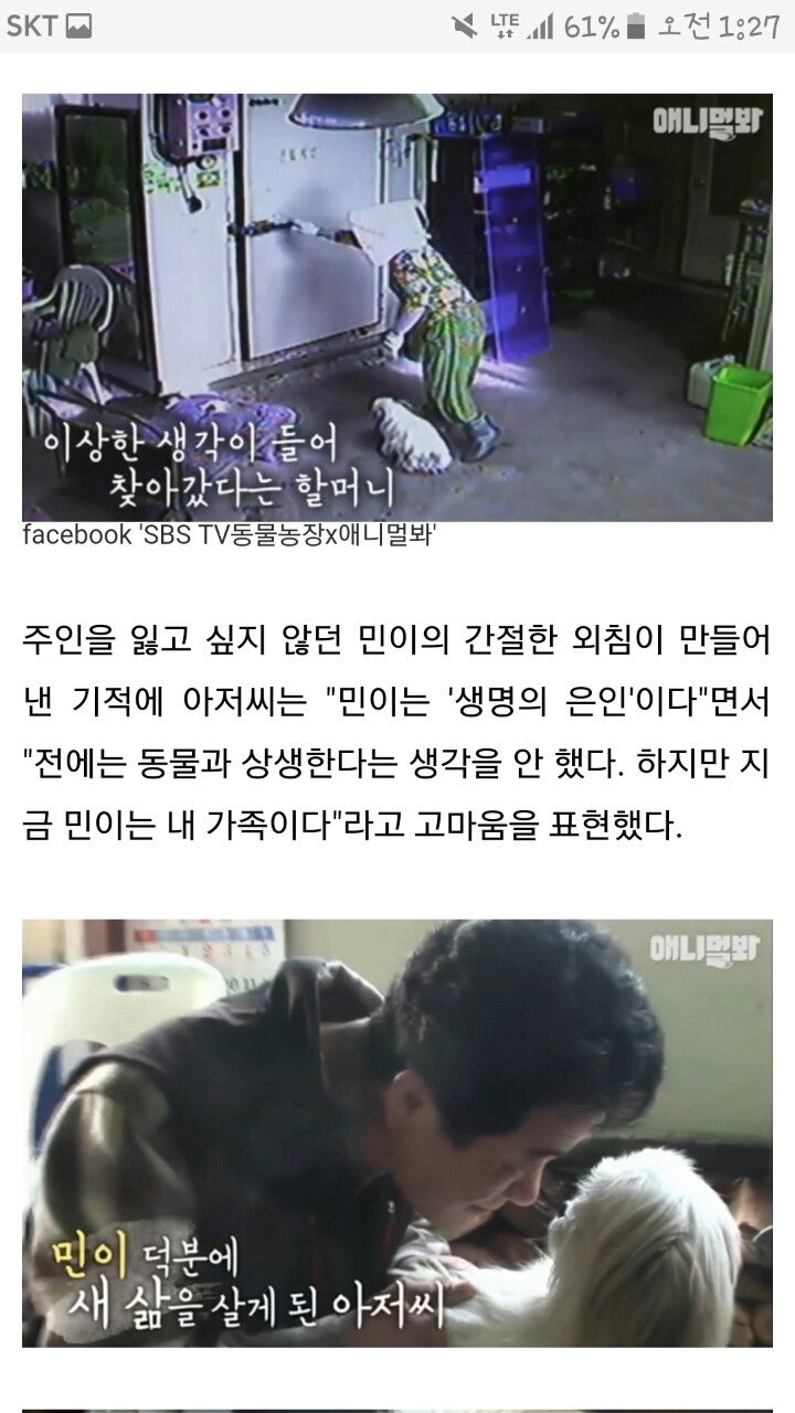하루 종일 짖어 냉동 창고에 갇힌 주인 구한 강아지 | 인스티즈