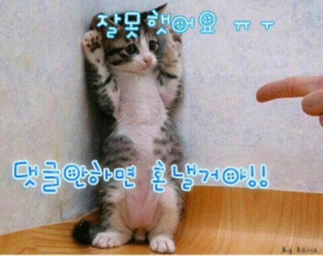 좋은소식 이미지