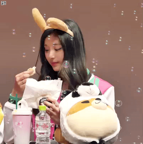트와이스 쯔위 | 인스티즈
