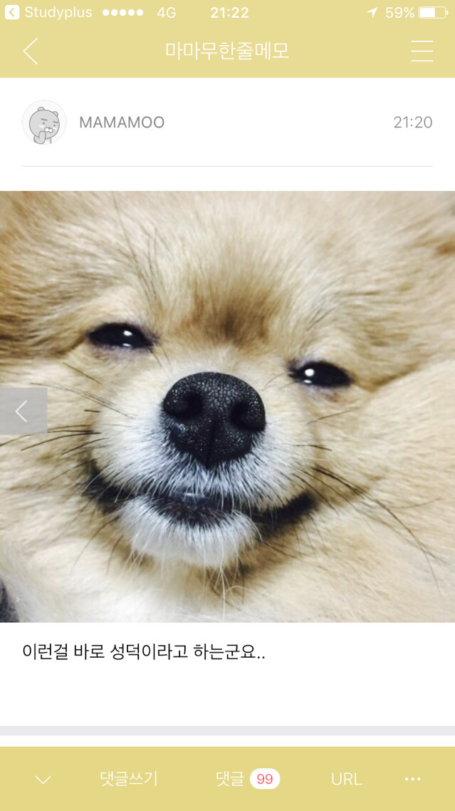 오늘자 청룡 축하무대 중 자기 이름 부르는 마마무한테 목례해주는 김혜수.jpg | 인스티즈