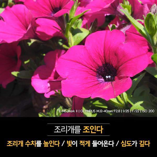 카메라 조리개 완전정복 | 인스티즈