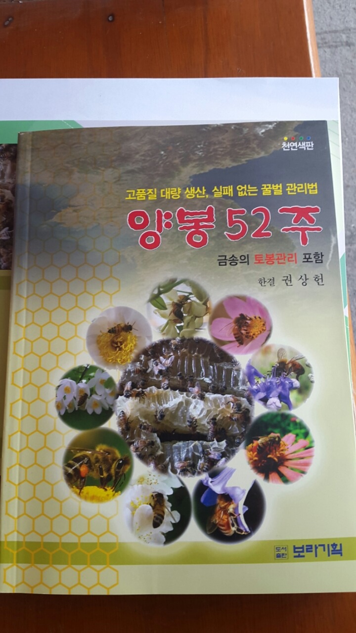 해올 이미지