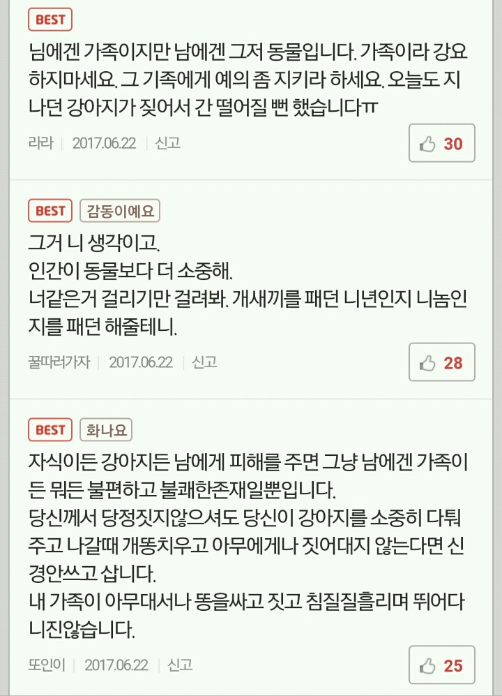 [미즈넷] 솔직히 내 강아지는 남의 아이보다 훨씬 소중해요 | 인스티즈