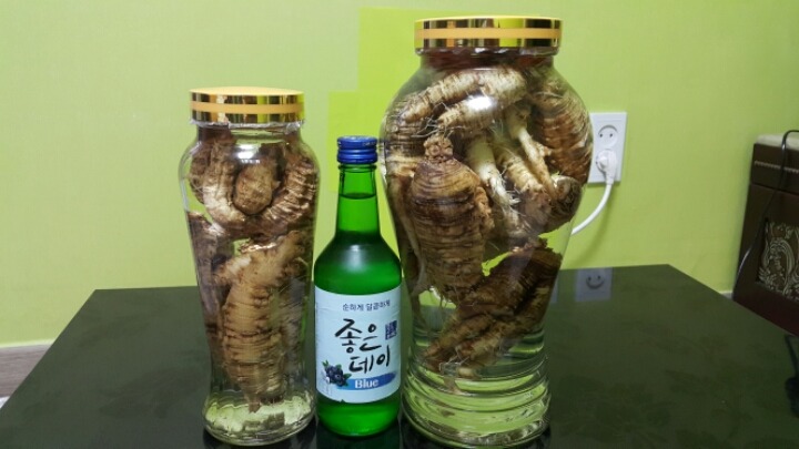 보배 이미지