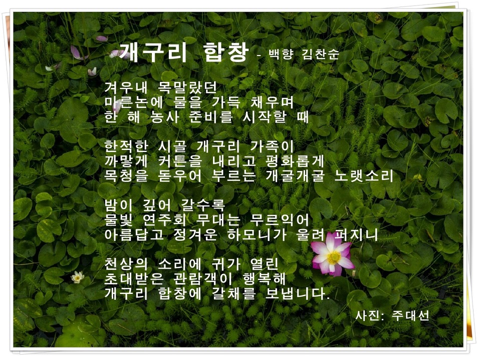 백향 이미지