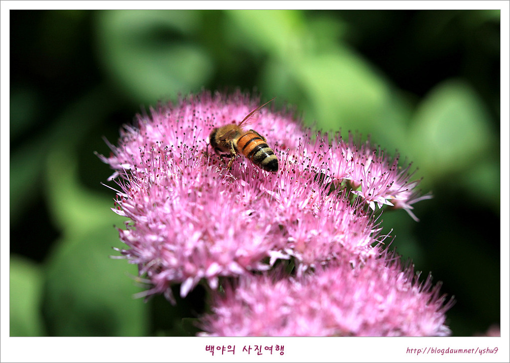 산성큰 이미지