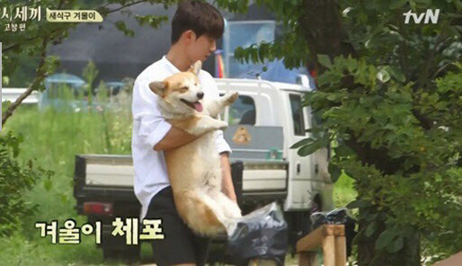 너무 귀여운 유해진 반려견 겨울이♡ | 인스티즈