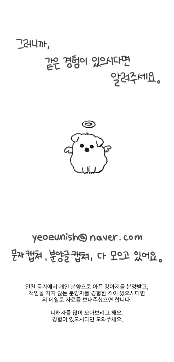 반려견 사기 피해자들의 제보를 받고 있습니다 | 인스티즈