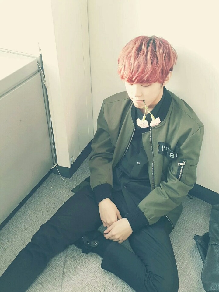 널;조화해 이미지