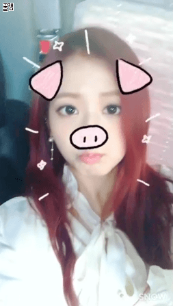 블랙핑크 인스타그램 업뎃.gif | 인스티즈