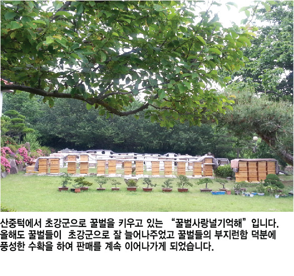익은꿀 이미지