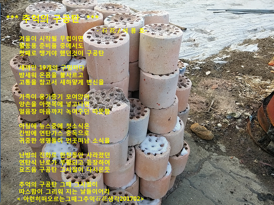 구공탄 이미지