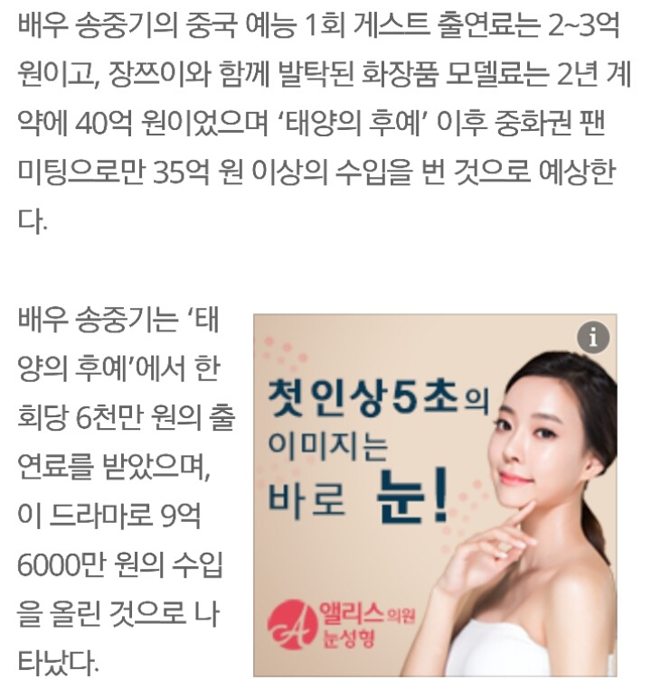 송혜교 송중기의 2016년 수입 | 인스티즈