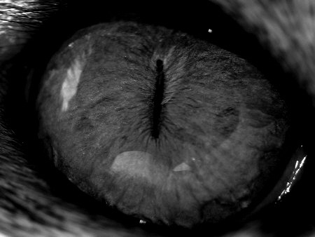 비정한 명언.TXT | 인스티즈