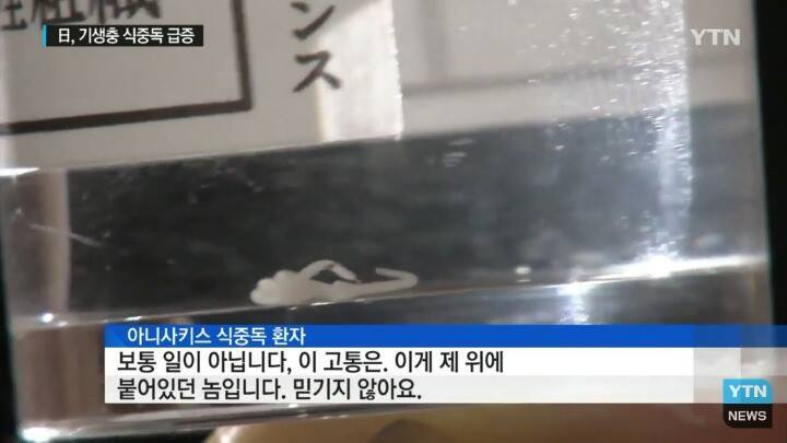일본 여행 시 주의사항 | 인스티즈