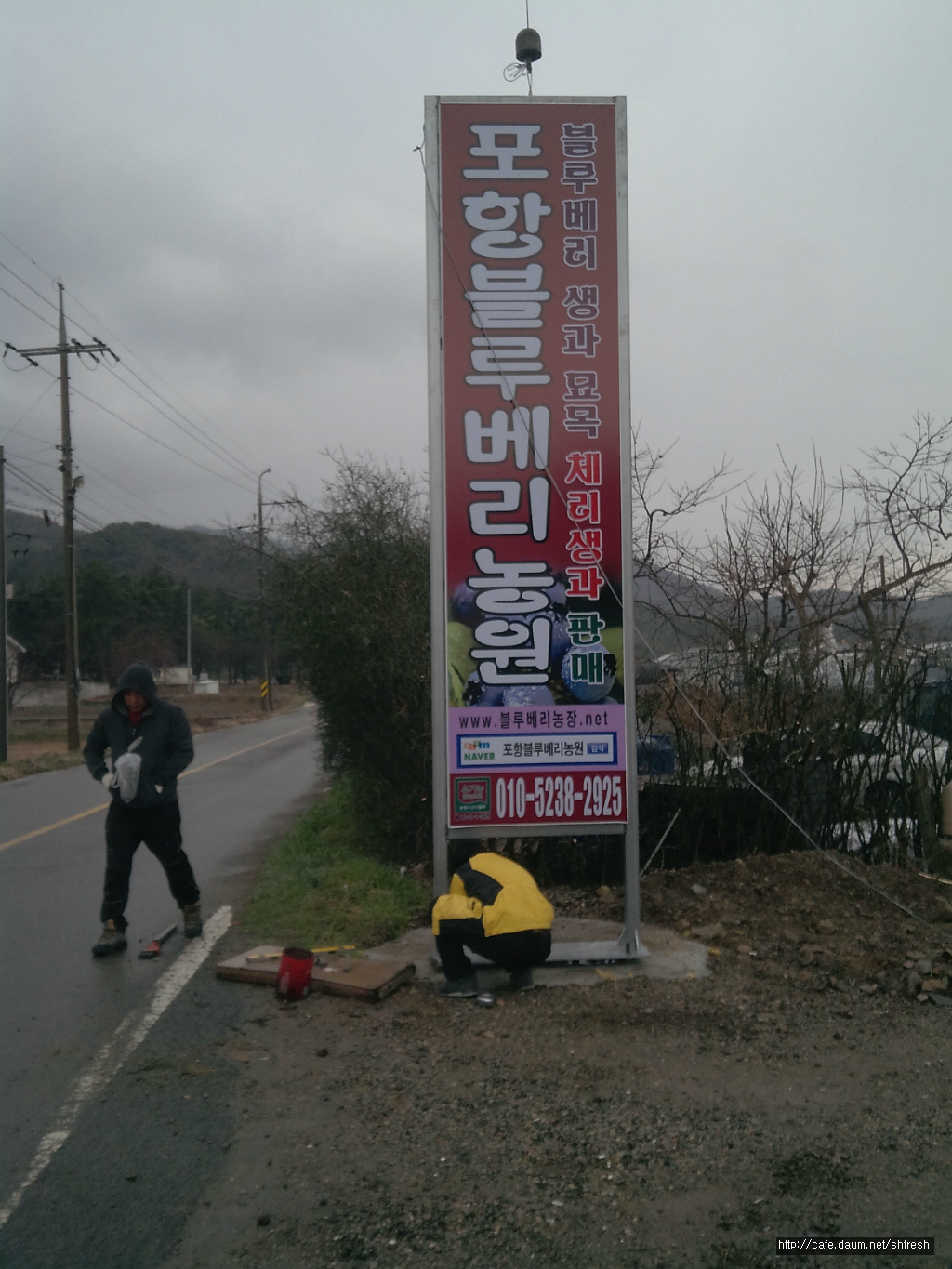 포항블루베리농원 이미지