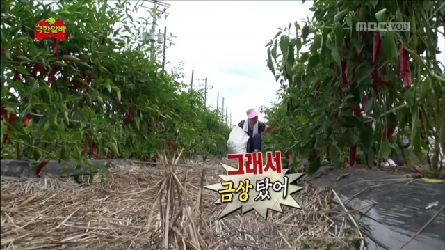 [무한도전] 자식 자랑하는 팔불출 명수옹ㅋㅋㅋㅋㅋㅋㅋㅋㅋ | 인스티즈