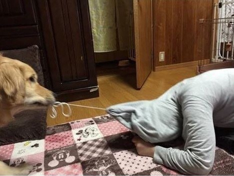 산책 이미지