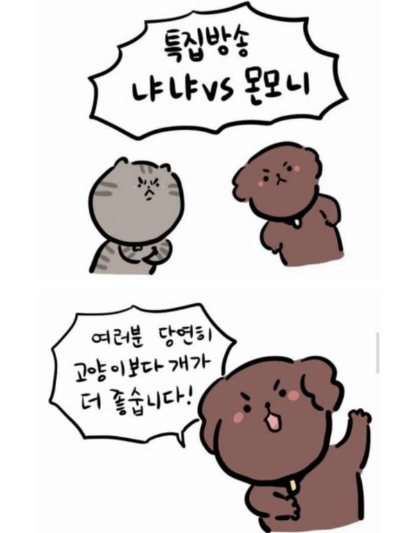 고양이와 강아지.jpg | 인스티즈