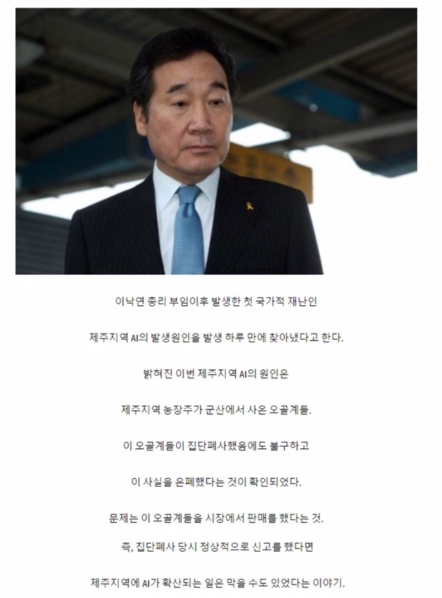 이낙연 총리 지시 제주 AI 확산 하루만에 원인 찾아냈다 | 인스티즈