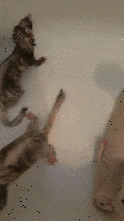 해탈의 경지.gif | 인스티즈