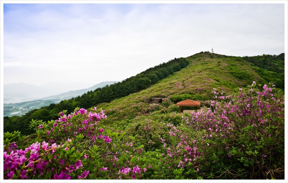 봉화산 이미지