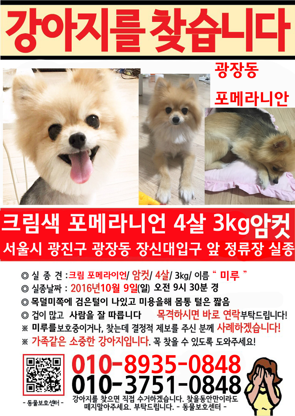[기타] 구리시에서 강아지를 찾습니다.. 도와주세요 | 인스티즈