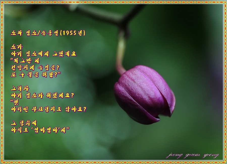 염소이야기 이미지
