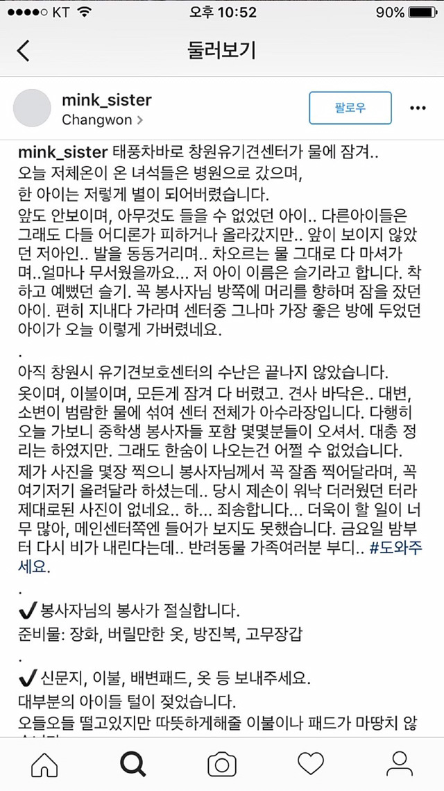 창원 유기견센터 물난리때메 멍멍이들 죽어가고있대 ㅜㅜ | 인스티즈