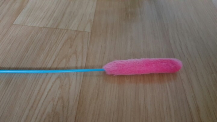 고양이 키우는 분들만 아는자세ㅋㅋ | 인스티즈